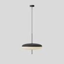 Model 2065 Midcentury Pendant Lamp