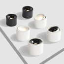 Round Downlight Cylinder Ceiling Light