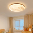 Ambient Lunar Disc Ceiling Light