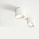 Round Downlight Cylinder Ceiling Light