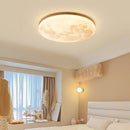 Ambient Lunar Disc Ceiling Light