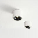 Round Downlight Cylinder Ceiling Light