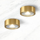 Flush Cylinder Spot Downlight