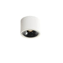 Round Downlight Cylinder Ceiling Light