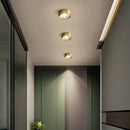 Flush Cylinder Spot Downlight