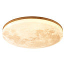 Ambient Lunar Disc Ceiling Light