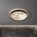 Lunar Disc Halo Ceiling Light