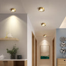 Flush Cylinder Spot Downlight