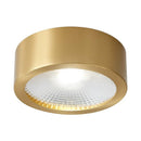 Flush Cylinder Spot Downlight