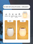 Sculptural Portable Ambient Lantern Light