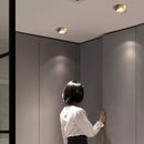 Flush Cylinder Spot Downlight