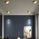 Flush Cylinder Spot Downlight