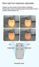 Sculptural Portable Ambient Lantern Light