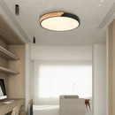 Dual Tone Halo Ceiling Light