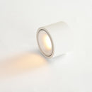 Round Downlight Cylinder Ceiling Light