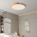 Dual Tone Halo Ceiling Light