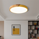 Dual Tone Halo Ceiling Light