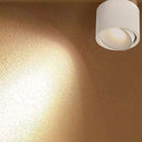 Round Downlight Cylinder Ceiling Light