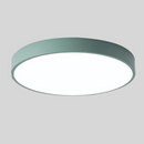 Dual Tone Halo Ceiling Light