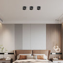 Round Downlight Cylinder Ceiling Light
