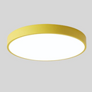 Dual Tone Halo Ceiling Light