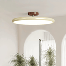 Vintage Adjustable Ceiling Lamp