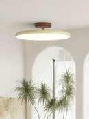 Vintage Adjustable Ceiling Lamp