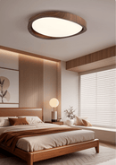 Minimalist Curved Edge Ceiling Light
