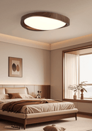 Minimalist Curved Edge Ceiling Light