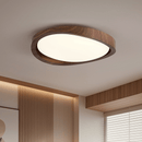 Minimalist Curved Edge Ceiling Light