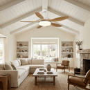 Asymmetric Blade Ceiling Fan with Light