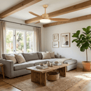 Asymmetric Blade Ceiling Fan with Light