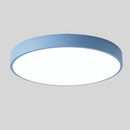 Dual Tone Halo Ceiling Light
