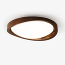 Minimalist Curved Edge Ceiling Light