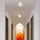 Round Downlight Cylinder Ceiling Light