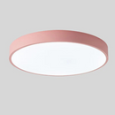 Dual Tone Halo Ceiling Light