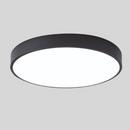 Dual Tone Halo Ceiling Light
