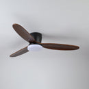 Wing Span Fan Light