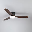 Wing Span Fan Light