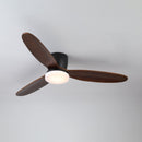 Wing Span Fan Light