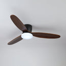 Wing Span Fan Light