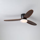 Wing Span Fan Light