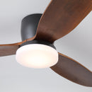 Wing Span Fan Light
