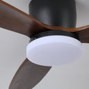 Wing Span Fan Light