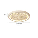 Ornate Plaster Medallion Ceiling Light