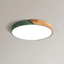 Dual Tone Halo Ceiling Light
