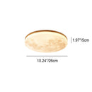 Ambient Lunar Disc Ceiling Light