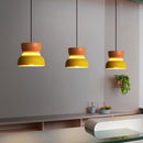 Sculptural Color Block Pendant Light