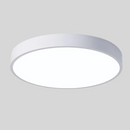 Dual Tone Halo Ceiling Light
