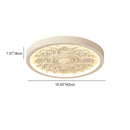 Ornate Plaster Medallion Ceiling Light